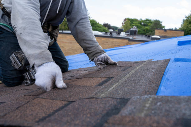 Best Roof Replacement Cost  in Coudersport, PA